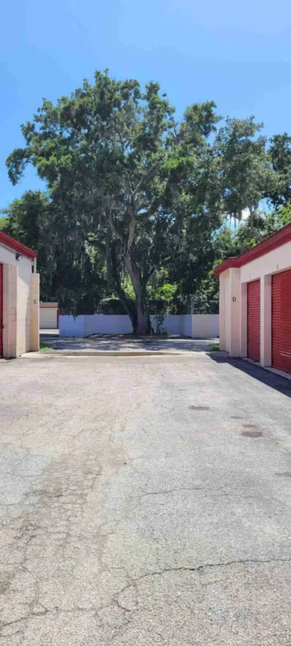 Daytona Beach Beach, Devon Self Storage