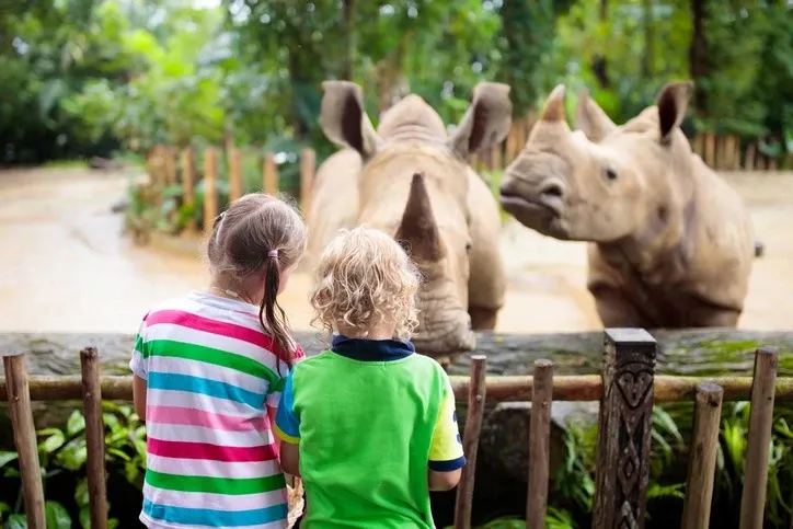 memphis-zoo.jpg