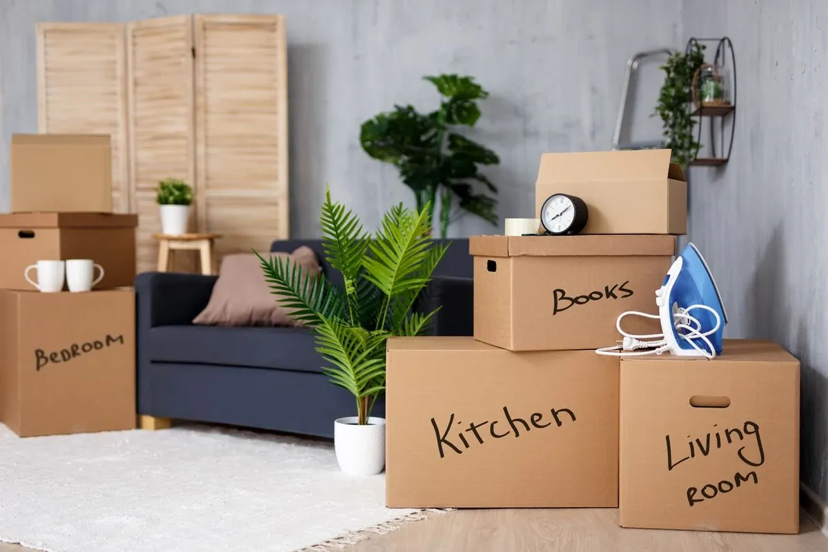 Cardboard boxes with household belongings stacked inside a living room during a home move.