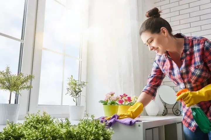 springcleaning-e1552421223241_mf1lel.jpg